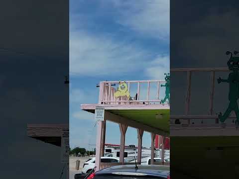 #alien #area51channel #nevada #lasvegas #travel #vegas οΌbrothel