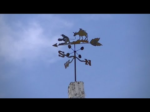 Beatty, Nevada: Burros, Brothels, Bombs, & Bullfrogs