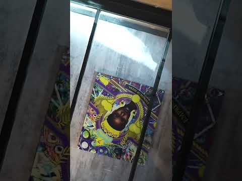Chocolate City x El Septimo Cigar Bar & Lounge in Las Vegas, NV