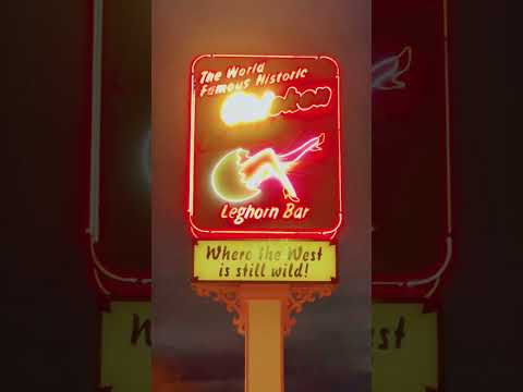 Cool Neon Sign #freedom #fun #nevada #macarena #brothel