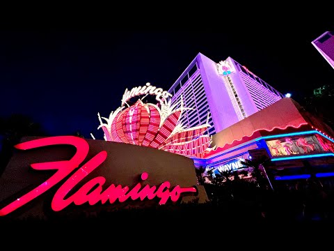 Flamingo Las Vegas is Scary Old & So Cheap β BUT SUPER FUN!