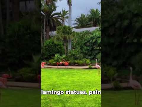 "Flamingo Oasis: Dive into Luxury at the Flamingo Las Vegas Pool"