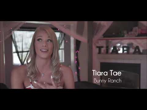 INSIDE THE MOONLITE BUNNY RANCH