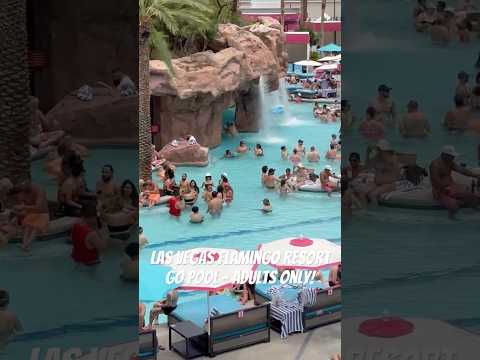 Las Vegas Strip Adults only Flamingo Resort Go Pool #flamingo #lasvegasblvd #lasvegas #poolparty