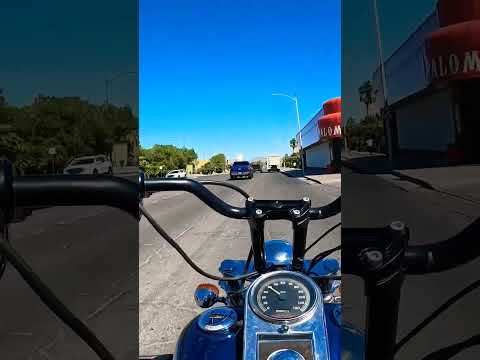 Las Vegas strip clubs. Chica Bonitas and palomino. #Harley #Vegas