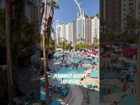 Las Vegas Strip Flamingo Resort Las Vegas #vegasvacation #lasvegas #pool #lasvegasblvd #casino