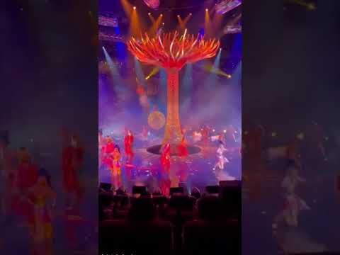 Newest Show in Las Vegas Awakening at Wynn Encore is better than any Cirque and affordable tickets