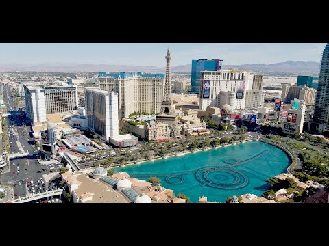 THE BACHELOR PARTY | VEGAS BABY