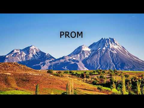 best transportation services in Las Vegas NV (725) 225-8877