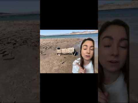 😱 Bodies Found, Lake Mead's Las Vegas Secrets Revealed – tiktok macabrehappenings