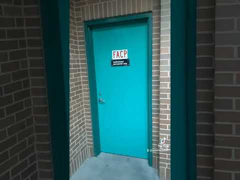 Green door