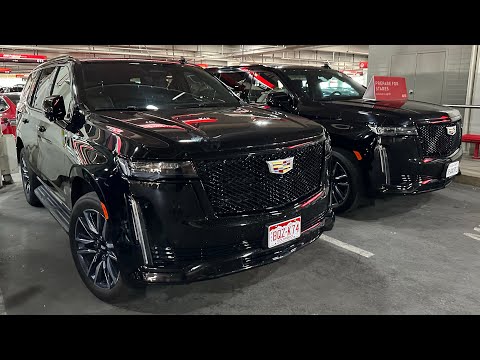 Las Vegas Airport Avis Car Rental Selection