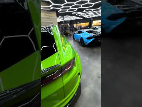 ROYALTY EXOTIC in LAS VEGAS #youtube #youtubeshorts #shorts #lasvegas #2024 #explore #viral #fyp