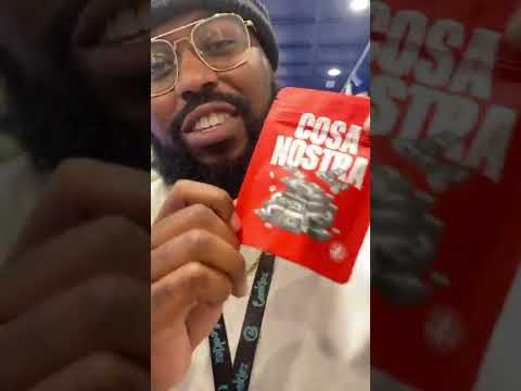 Cosa Nostra Strain Review At The Best Dispensary In Las Vegas Ft. Cookies Flamingo