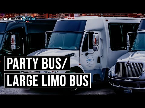 Party Bus / Large Limo-Bus