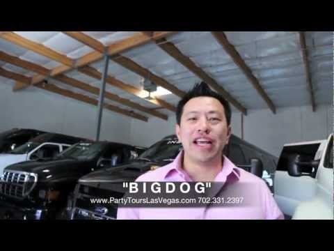 Party Bus Rental Las Vegas; Party Tours Las Vegas