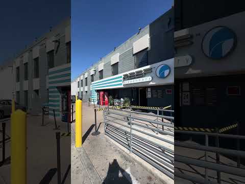 Reef Dispensary Las Vegas | Las Vegas Cannabis Dispensary #shorts #lasvegas