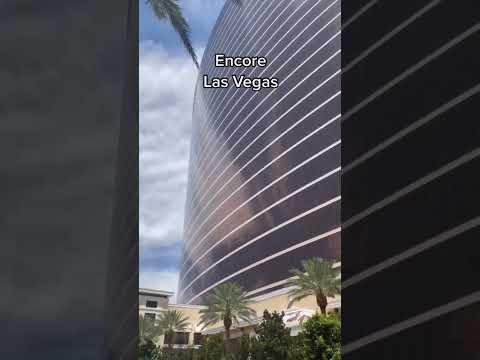 Did you know Las Vegas has adult pools? This one is at the Wynn