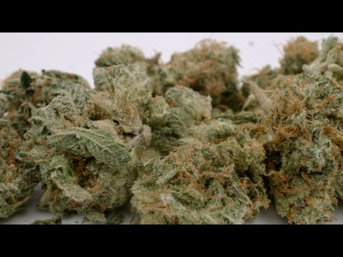 07/07/2023  Cannabis Lounges Coming to Las Vegas Casinos