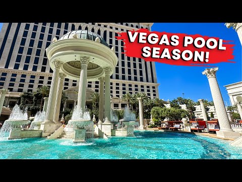 5 Epic Las Vegas Pools You Need to Check Out This Year!