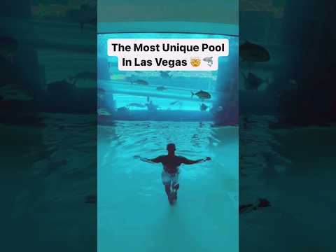 A water slide inside a SHARK TANK!?