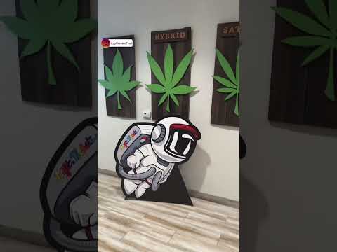 BEST Deals in Vegas?? Cultivate Las Vegas! Instagram: IzzyCreatedThat