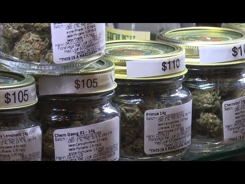 Cannabis at a crossroads: Nevada industry continues to navigate regulatory challenges