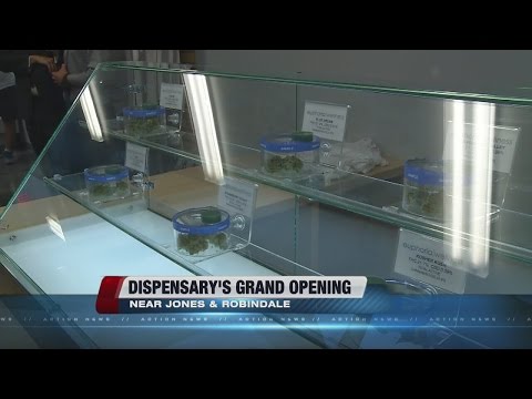 First marijuana dispensary in Las Vegas holds grand opening