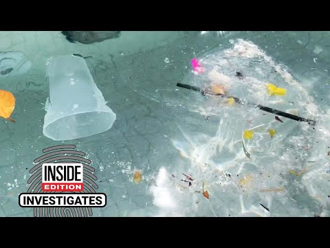 How Clean Is the Water at Some Las Vegas Pool Clubs?