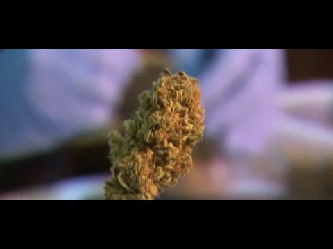 Las Vegas City Council approves drive-thru marijuana dispensary measure