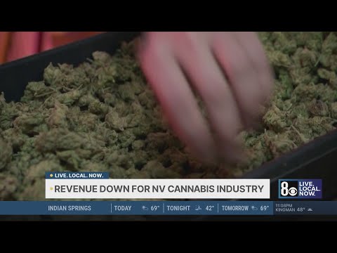 Nevada’s illegal cannabis market remains resilient amid lower dispensary sales