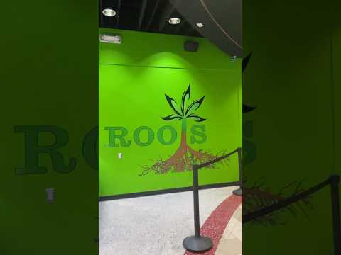 Roots Marijuana Dispensary on the Strip – Las Vegas, Nevada