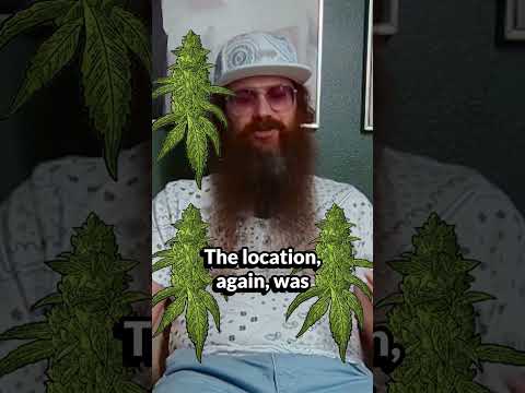 Solid Overall Experience at Thrive Dispensary on West Sahara in Las Vegas Nevada