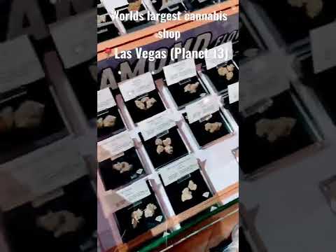 Worlds largest cannabis shop 📍Las Vegas (Planet 13)