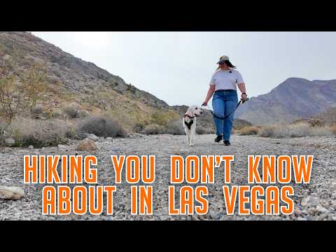 3 Hiking Trails You Haven't Heard About In Las Vegas