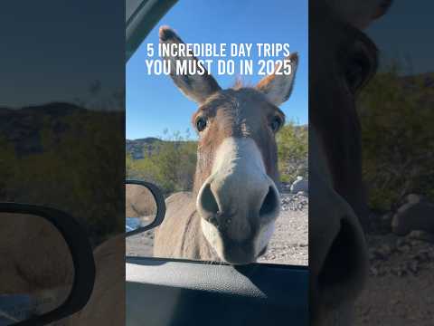 5 INCREDIBLE DAY TRIPS FROM LAS VEGAS YOU MUST DO IN 2025