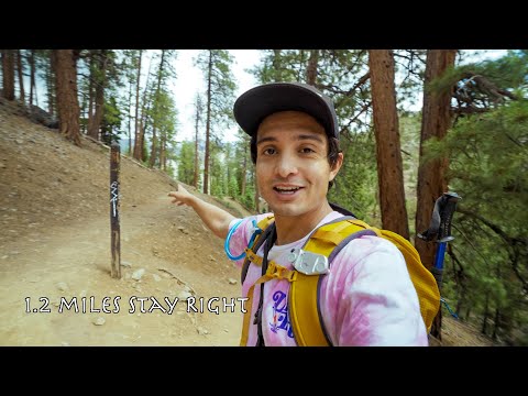 BEST hiking Trails LAS VEGAS | Mt. Charleston | CATHEDRAL ROCK Views!