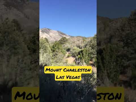 Camping by Mount Charleston – Las Vegas Family Camping #familychannel #camping #mountcharleston