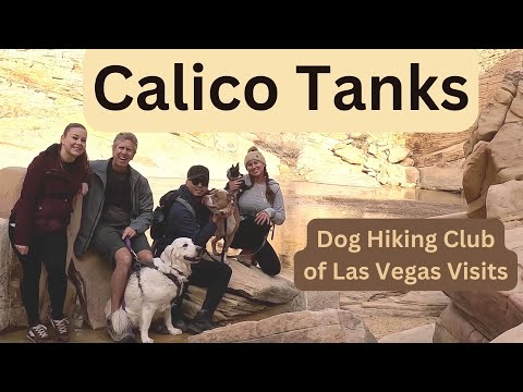 Dog Hiking Club of Las Vegas Visits Calico Tanks Trail