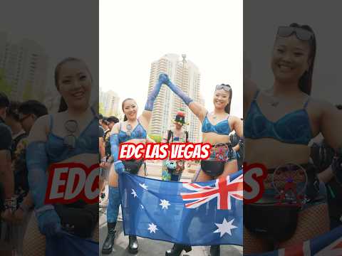 EDC LAS VEGAS 🎡 WE OFFER HOTEL AND TRANSPORTATION PACKAGES. Contact Us #edc #edclasvegas #lasvegas