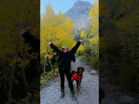 Hiking Cathedral Rock at Mount Charleston in the fall. Las Vegas DOES have seasons!