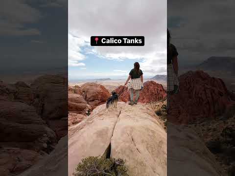 MAKE Red Rock Canyon of Las Vegas Your NEXT Roadtrip