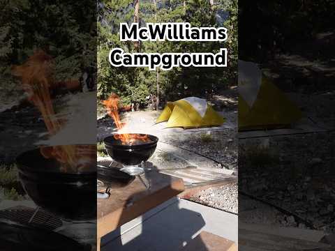 McWilliams Campground: A Hidden Escape Near Las Vegas | Nevada