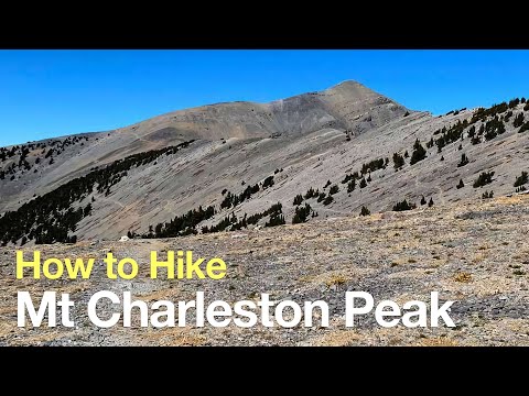 Mt Charleston Peak Hike – South Loop Trail – HikingGuy.com