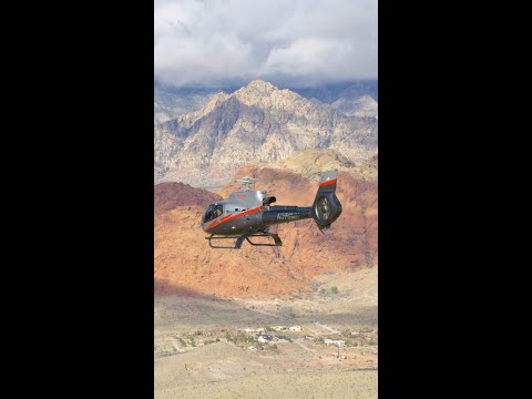 Neon & Nature | Maverick Helicopters
