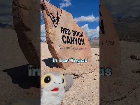 Red Rock Canyon National Conservation Area in Las Vegas!