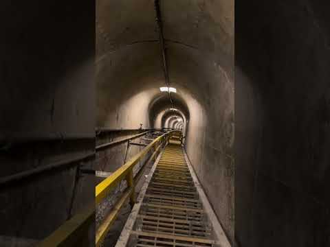 Take the full Hoover Dam tour for only $30 🦫 #hooverdam #nevada